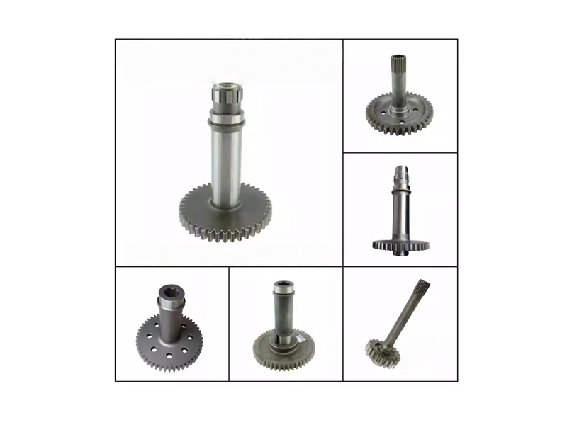 Working pump shaft gear