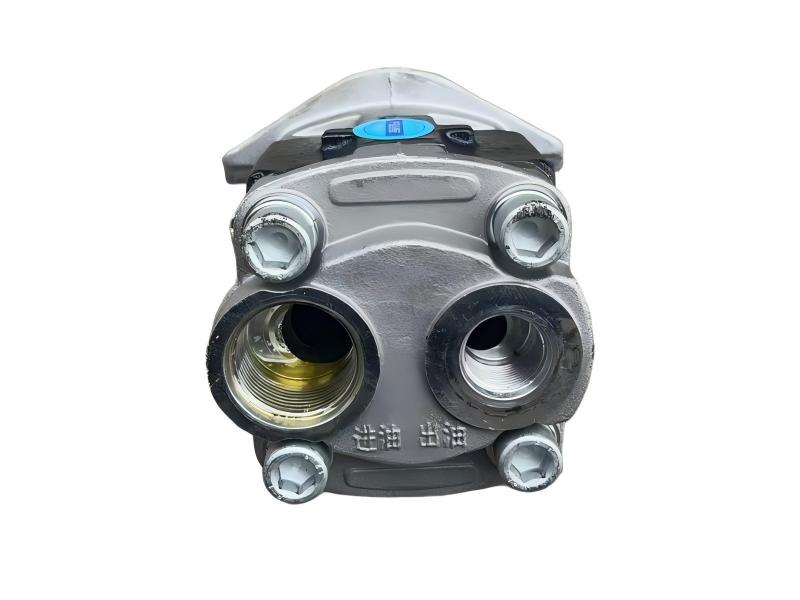 Gear Oil Pump F34-12L